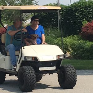 Meet your Posher, Duane